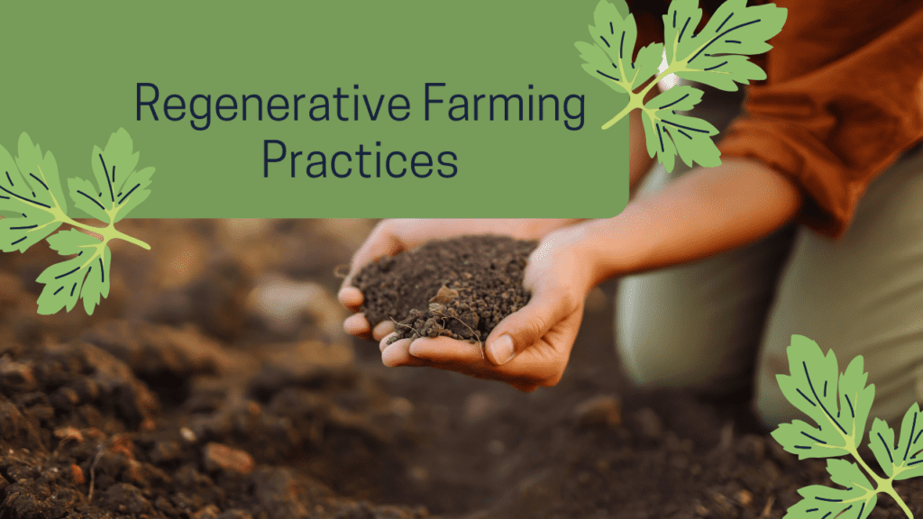Transforming Agriculture with Regenerative Farming Practices